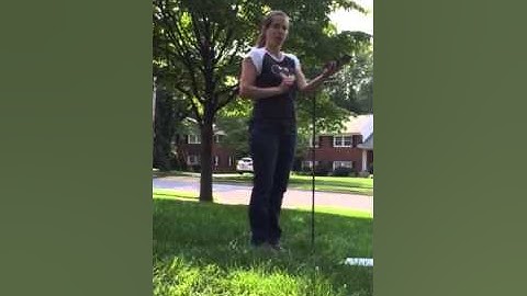 Estimating tree canopy %