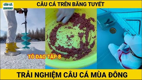 Trải Nghiệm Câu Cá Mùa Đông | T08 | Tô Dao | Câu Cá Trên Băng | CÂU CÁ REVIEW #câucá #câucátrênbăng