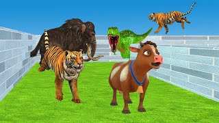 Mammoth Vs Tiger Chase Cute Cow Wooly Mammoth save Cow From Tiger Animals Fight Cartoon