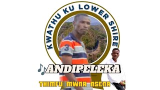 THIMFU - ANDIPELEKA 2025 MUSIC