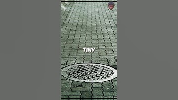 The Ultimate Travel Hack in OKC: Manhole Cover Maps! #shorts #viral