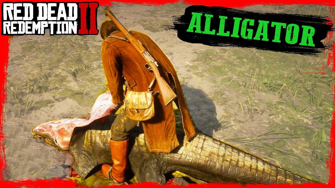 RDR2 Alligator attack and skining in first person Gameplay YouTube