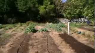 SPIN Small Plot Intensive Farming class at Habitat for Humanity Kinship Urban Farm