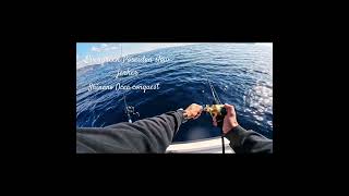 Ντάσκα στο slowpitch jigging #mnacing #slowpitch #jigging #ψάρεμα #shimano #fish #hobby #psarema