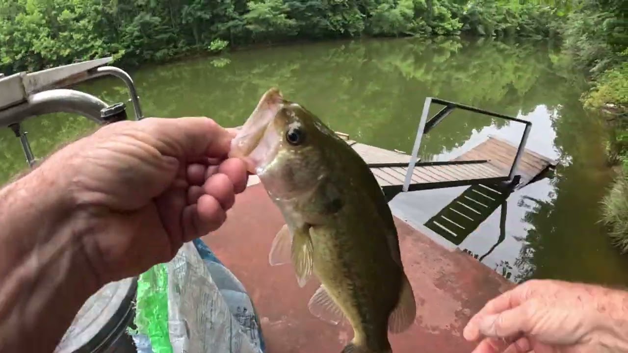 Lunch Time at the Pond
