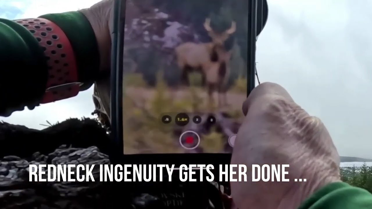 Setting Trail Cameras, Lithium Batteries, Digiscoping Compact Spotter, Burrito with my Bloodhound