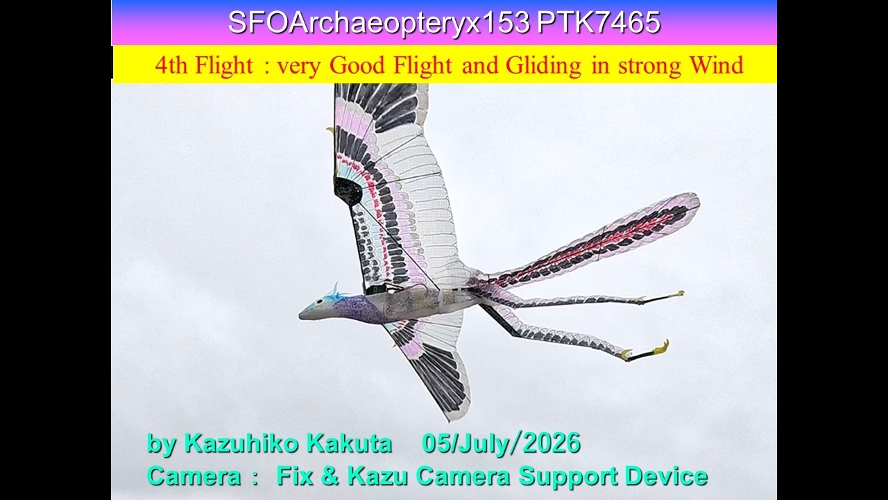 サーボ駆動始祖鳥型羽ばたき機 SFOArchaeopteryx153 PTK7465 53g : 4th