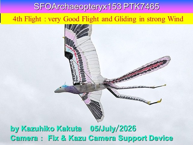大きい羽 サーボ駆動始祖鳥型羽ばたき機 SFOArchaeopteryx153 PTK7465 53g : 4th