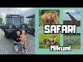 Safari W Mikumi Dzika Afryka W Sercu Tanzanii Nasza Opinia Safari W Mikumi Dzika Afryka W Sercu Tanzanii Nasza Opinia