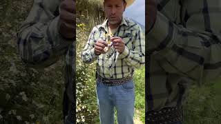 Acahual Blanco