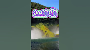 سورة الإخلاص كاملة برواية حفص عن عاصم بصوت القارئ الشيخ أحمد عيسى المعصراوي
