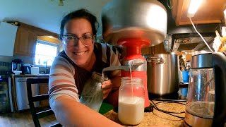 The Burden of Abundance on a Homestead (Cream Separating Day) | Farm Life Chat by Sage and Stone Homestead 3,150 views 10 days ago 19 minutes