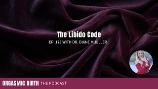 The Pleasure Practice: Rekindling Desire After Baby with Dr. Diane Mueller - Ep. 173 screenshot 4
