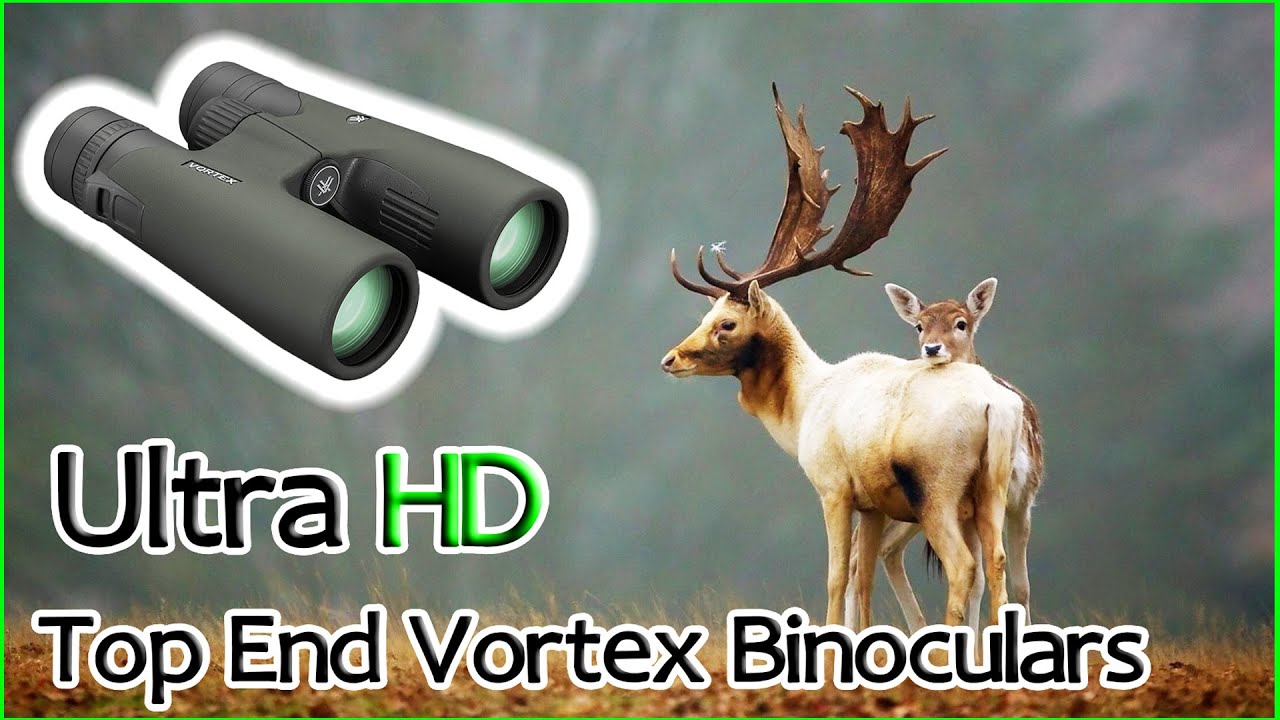 1500 Binoculars Worth Buying ??? Features & Buying Guide YouTube