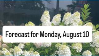 Monday, August 10 Forecast