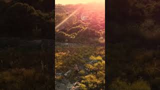Eran Zamir - Bayat Medley \ Oud #shorts #shortsmusic