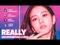 BLACKPINK - Really (Line Distribution   Lyrics Color Coded) PATREON REQUESTED