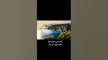 تلاوه رائعه للشيخ مشاري راشد العفاسي #قرآن_كريم #اكسبلور #المصحف #quran #مشاري_العفاسي #راحة_نفسية