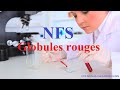 Nfs globules rouges