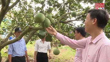 Một số kết quả đạt được từ Chương trình mục tiêu Quốc gia giảm nghèo bền vững