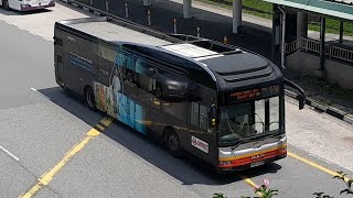 (PUB Full Body Advertisement) SMB1445D(WLDEP) On Service 178 At Woodlands Road 