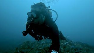 What it’s like:  Scuba diving in Cabo San Lucas with Manta Scuba.