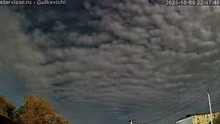 2025-10-10-Гулькевичи