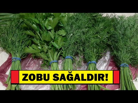 Zobun Dərmanı ŞÜYÜD ÇIXDI - Kaş Əvvəldən Bilərdim...