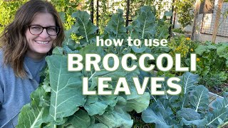 Don't WASTE your BROCCOLI & CAULIFLOWER GREENS: Do this instead!