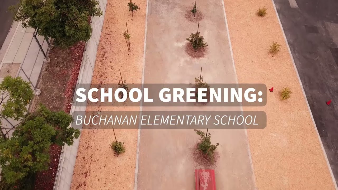 A 2025 Year in Review