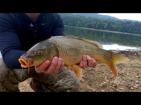 თევზაობა შაორის ტბაზე 2018