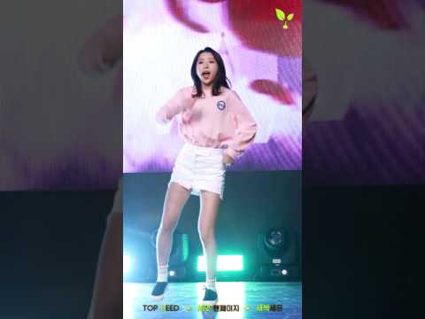 161112 씨앗(SEEART) 세은 직캠 - H.O.T 빛 by새싹세은