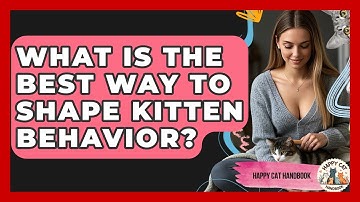 What Is The Best Way To Shape Kitten Behavior? - Happy Cat Handbook