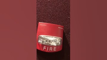 Simplex strobe light.