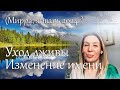 Уход дживы. Изменение  имени (Мирра, январь 2024г)