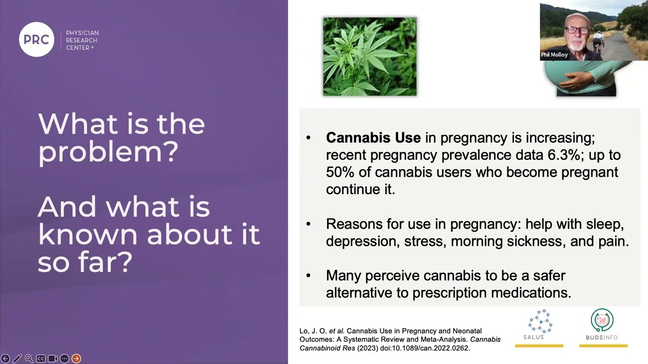 Neonatal Outcomes and Cannabis Use - August 2024 Cerium Journal Club