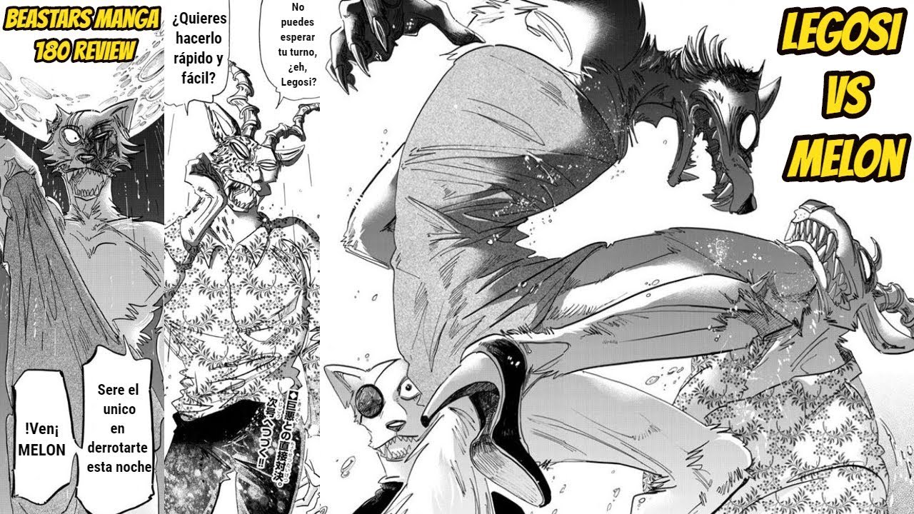 BEASTARS MANGA 180 REVIEW LA HISTORIA DE LAS ZORRAS !!MELON VS LEGOSI