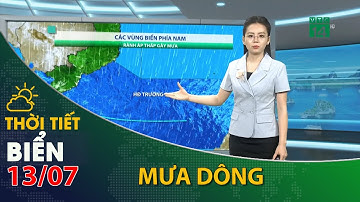 Thời tiết biển ngày 13/07/2021:Vùng biển phía Nam, có mưa rào và dông rải rác | VTC14