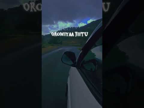 Jituu Oromiyya Jituu Dagagii Biyya Dhalotaa Ko Ethereum Ethiopia Oração Oromo