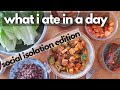 Chill Day of Eating (What I Ate in a Day Vegan Quarantine Edition)