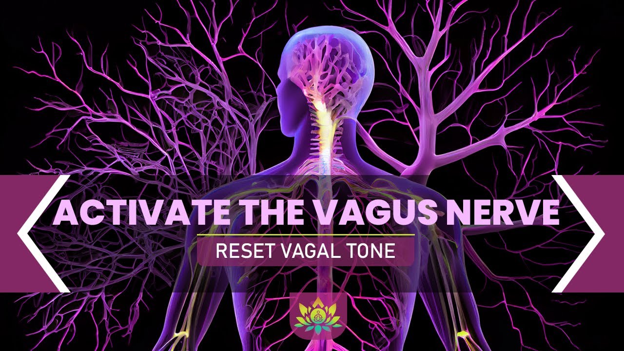 Activate The Vagus Nerve Reset Vagal Tone Boost Your Body's Health