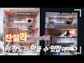 친칠라키우기 - 친칠라집 직접 만들어 주기(chincilla house making)🏡