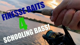 Catching Schooling Florida Bass on Finesse Baits