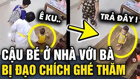Đang NGỒI CHƠI TRONG NHÀ, cậu bé bỗng XỊT KEO khi bị 2 báo thủ vào nhà GIẬT LỒNG ĐÈN | Tin 3 Phút