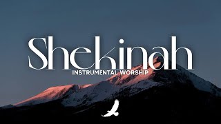 PROPHETHIC WORSHIP INSTRUMENTAL // SHEKINAH GLORY //  SOAKING WORSHIP screenshot 1