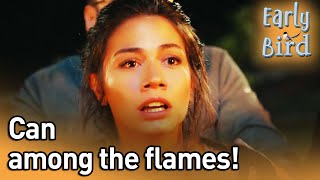 Can Among The Flames! - @DaydreamerErkenciKus (English Subtitles)