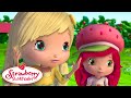 Moranguinho | Violetas desaparecidas | Animação infantil | Episódio completo | S1 E3