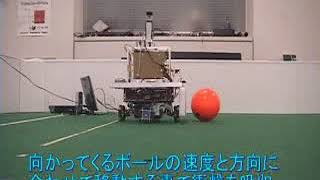 Cooperation with a human and Omnidirectional mobile robot based on Omnidirectional Vision 2001