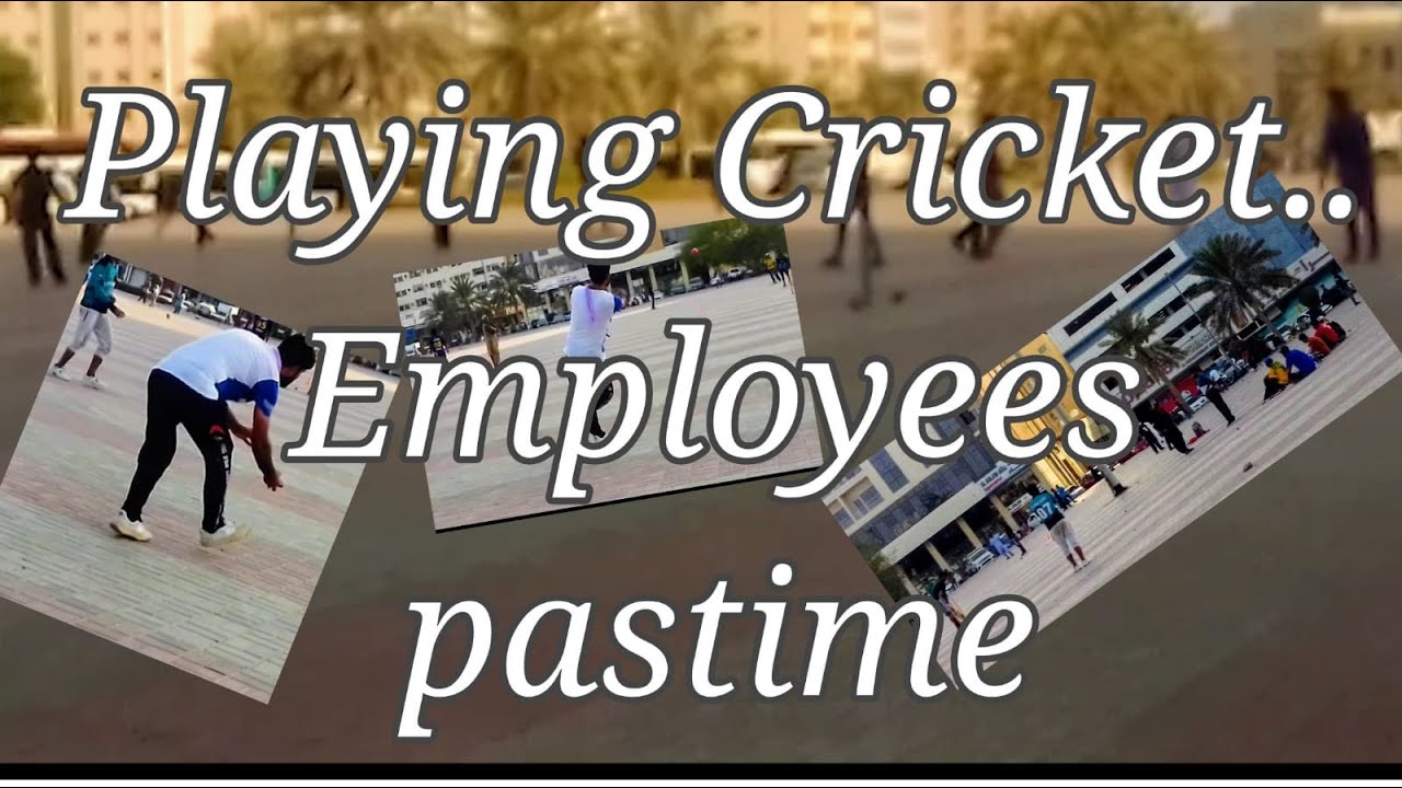 Playing Cricket... Employees pastime YouTube
