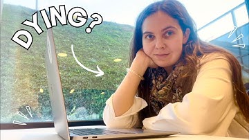 From Physics PhD to Unemployed | How I